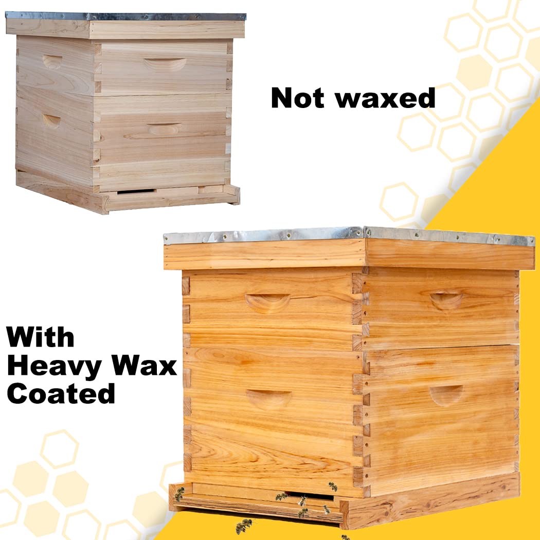 POLLIBEE Bee Hive Starter Kit, 8 Frame Bee Hives, Hive Include1 Deep Bee Box 1 Medium Beehive Box with Bee Frames and Wax Foundation,Unassembled Beehive Starter Kit for Beekeeper POLLIBEE