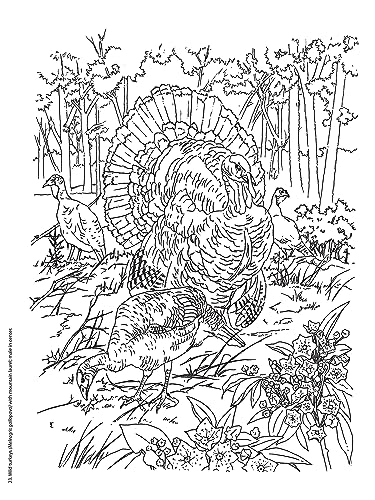 Adult Coloring Beautiful Birds Coloring Book (Adult Coloring Books: Animals) Dover Publications