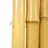 Backyard X-Scapes Natural Bamboo Fencing 6 feet High Outdoor Decorative Rolled Fence Panel 6 ft H x 4 Ft L x 1 in D Backyard X-Scapes