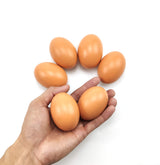 Wooden Egg Fake Egg Hens Eggs Dummy Eggs Help Laying Hen Agricultural Tool Poultry Mannequin Nest Eggs 8 PCS Azatemgo