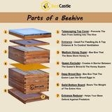 BeeCastle 8 Frame Langstroth Bee Hive Coated with 100% Beeswax Includes Beehive Frames and Waxed Foundations (1 Deep Box & 1 Medium Box) BeeCastle