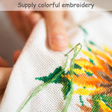 Caydo 8 Pieces Aida Cloth 8 Color 14 Count Classic Reserve Cross Stitch Fabric, 12 by 18-Inch Caydo