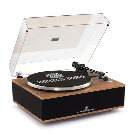 ANGELS HORN Vinyl Record Player, Bluetooth Turntable with Built in Speakers Phono Preamp, High Fidelity Turntables for Vinyl Records with Magnetic Cartridge AT-3600L, Belt Drive 2-Speed ANGELS HORN