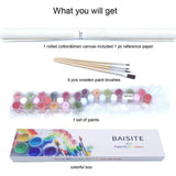 BAISITE Paint by Numbers Kit for Adults Beginners,20" Wx16 L Canvas for Painting Kits for Adults in Colorful Box Poppy Flowers-BSC001 BAISITE