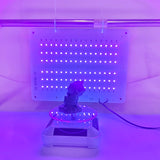 Smart Control Resin 3D Printer Enclosure with Ventilation Kit + UV Curing Light Compatible with ANYCUBIC Photon Mono 2, ELEGOO Mars 4 MSLA, Neptune 3 Pro, Ender 3 3D Printer Upgrade DODOBEI