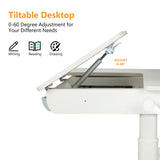 FCD Desk and Chair for Kids, Wood Ergonomic Multi Function Adjustable Study Desk and Chair Set, Drafting Table and Computer Station for Children 5-18 (Blue Chair, Bookshelf Not Included) FCD