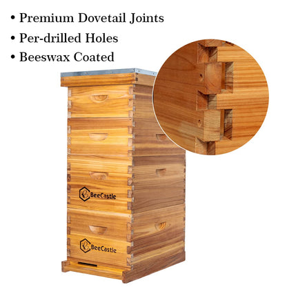 BeeCastle 8 Frame Langstroth Bee Hive Coated with 100% Beeswax Includes Beehive Frames and Waxed Foundations (2 Deep Boxes & 2 Medium Boxes)