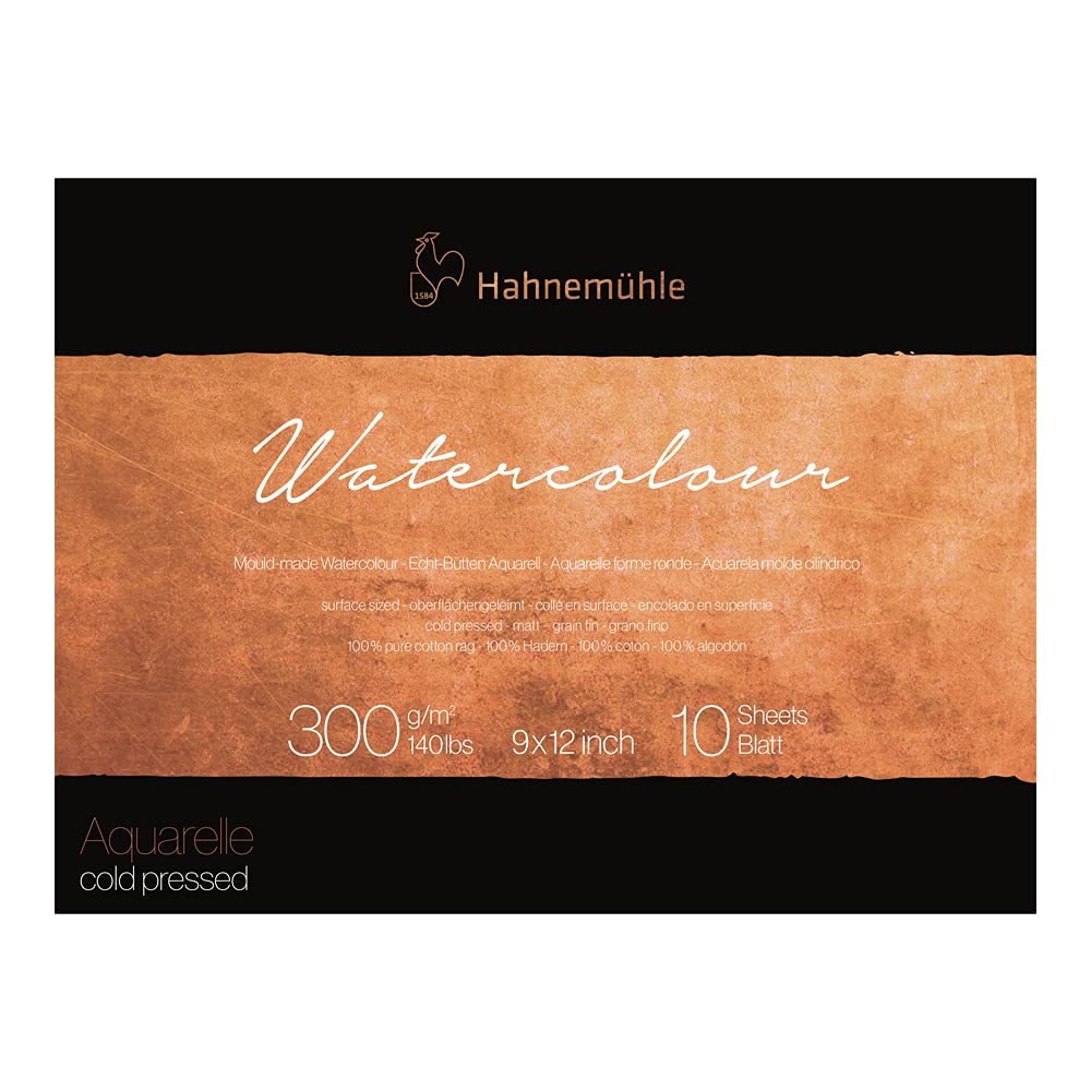 Hahnemuhle Collection Watercolor 300 Block Cold Pressed 9x12 300gsm, 9-x-12-Inch, White Hahnemühle