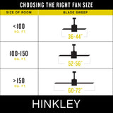 Hinkley Cabana 36" Indoor/Outdoor Dual Mount Ceiling Fan with Remote - Pull Chain Operation, Composite Fan Blades - Appliance White Hinkley