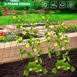 Toriexon Foldable Cucumber Trellis 2 Pack, 46" L X 18" W A-Frame Garden Trellis, Steel Climbing Plants Support Raised Bed Trellis with Twist Ties & Plant Bags for Climbing Plants Outdoor Toriexon