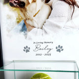 Perfect Cases Pet Memorial Display Case with 8x10 Photo Print and Display Case 7x4x4 Perfect Cases