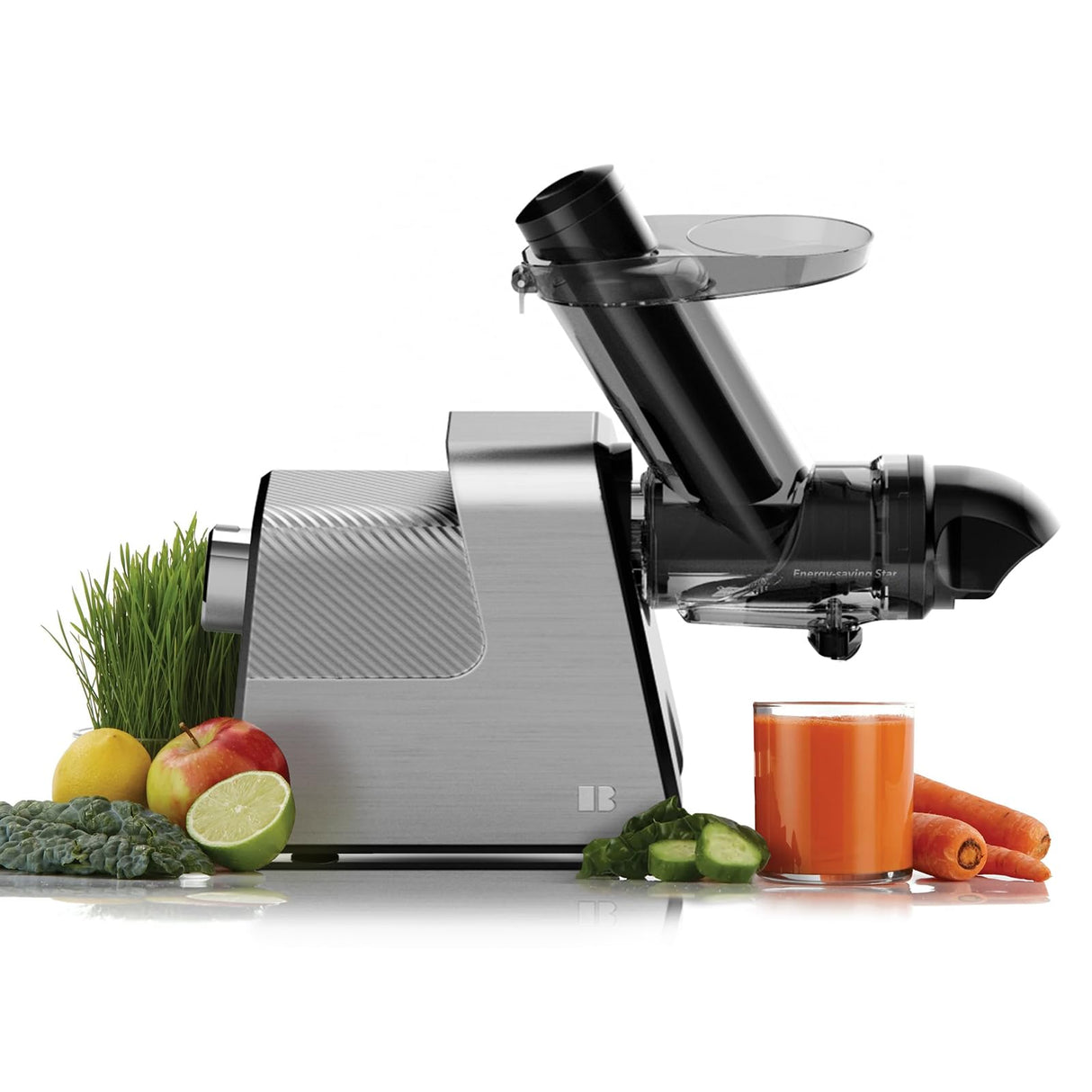 Masticating Juicer Machines, 3.5" Large Feed Chute Cold Press Juicer Fit Whole Fruits Vegetables with Quiet Motor | 5 Speed Modes | Easy to Clean with Brush | BPA Free (Silver & Black) anybear