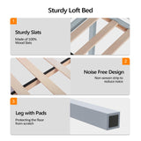 VINGLI 47'' Twin Low Loft Bed with Stairs - Sturdy Pine Wood Frame in Grey for Kids and Teens VINGLI