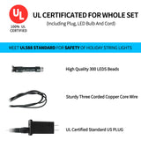 MZD8391 Color Changing Christmas String Lights Outdoor Indoor, 108FT 300 LED Warm White Multicolor Fairy Lights, END to END Connect, Waterproof Christmas Tree Lights Timer Remote MZD8391