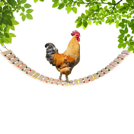 Vehomy Chicken Coop Toy Chicken Toys for Hens Natural Wood Chicken Ladder Chicken Swing Chicken Perch for Birds Poultry Rooster Chicks L Vehomy