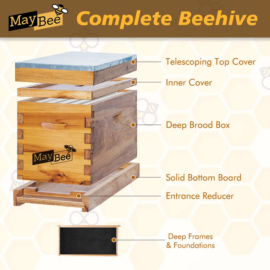 MayBee 5-Frame Nuc Beehive for Bees Complete Bee Hive Box Kit with Metal Roof Includes Wooden Frames & Waxed Foundations for Langstroth Beekeeping MayBee