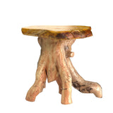 WELLAND Tree Stump Side Table, Live Edge Stool, Natural Edge Wood Side Table, Accent Table, 19" Tall WELLAND