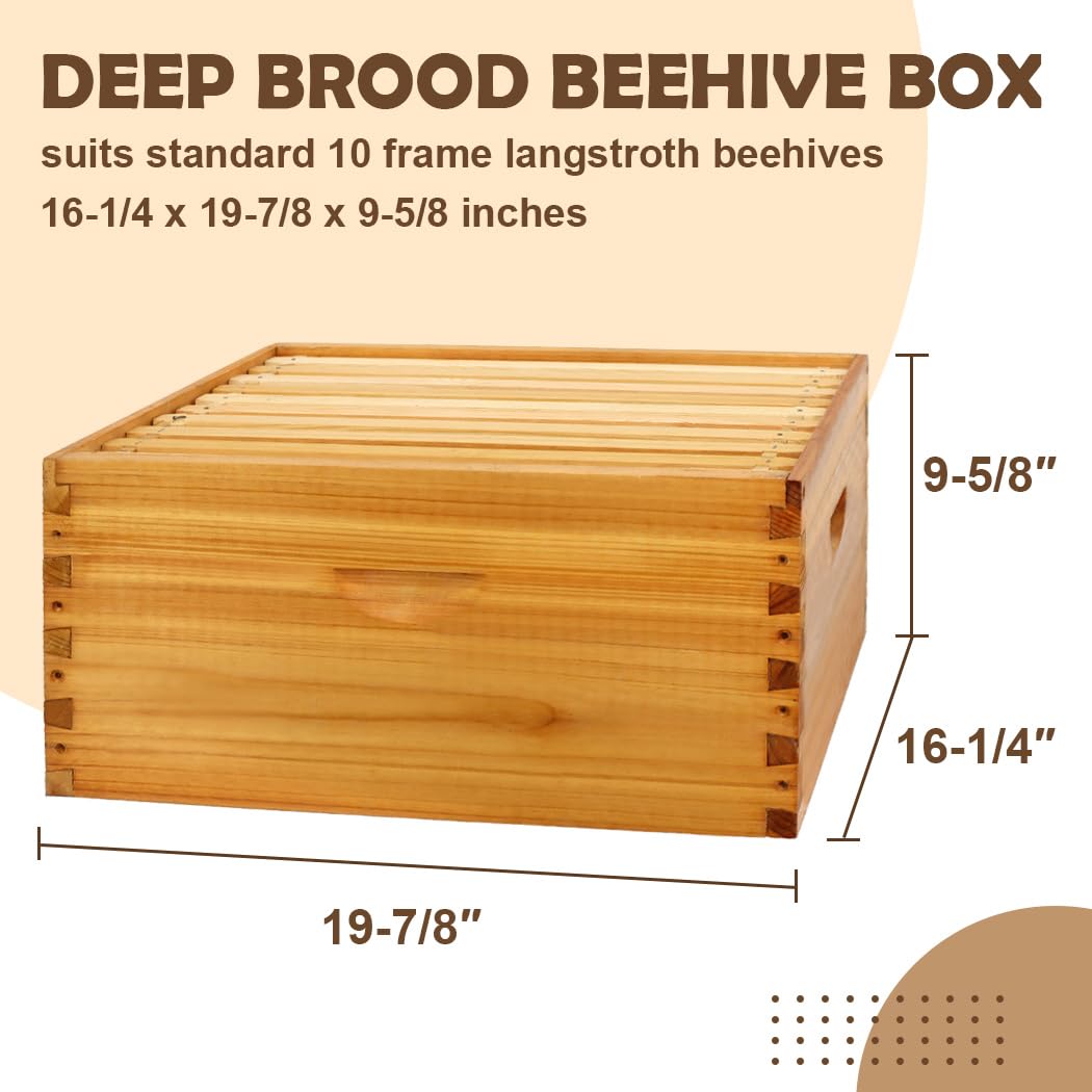 BEEINN 10 Frame Bee Hive Box, Langstroth Deep Brood Bee Box Dipped in 100% Beeswax Include Beehive Frames and Waxed Foundation Sheets (Unassembled) BEEINN