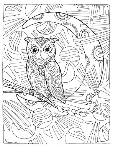 Creative Haven Owls Coloring Book (Adult Coloring Books: Animals) Dover Publications