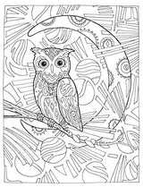 Creative Haven Owls Coloring Book (Adult Coloring Books: Animals) Dover Publications