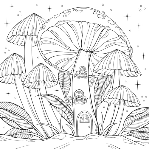 Everyday Magic: A Cozy Fantasy Coloring Book (Dover Adult Coloring Books) WoodArtSupply