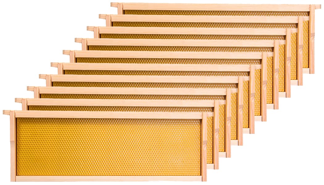 Honey Lake Medium Beehive Frames and Foudations Kit,10 Pack Super Wooden Frames and Natural Beeswax Dipped Plastic Foundations for Beekeeping Honey Lake