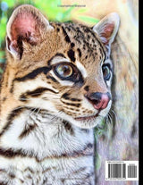 Big Cats Coloring Book: With Lions, Tigers, Ocelots, Caracals, Cheetahs, Cougars, Lynxes, Jaguars, and Leopards. (Animals That We Love) WoodArtSupply