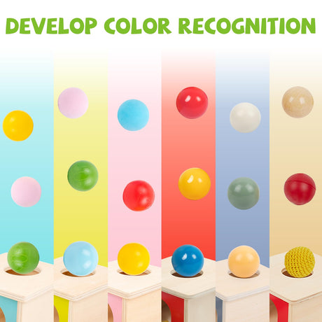 Adena Montessori Wooden Toy for 6-12 Month Baby 3 Balls,Sorting and Stacking Colorful Learning Education Toy for Toddler Kid 1-2 Year Old, Preschool Developmental Girl and Boy Gift Adena Montessori