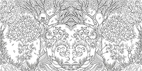 Enchanted Forest: An Inky Quest and Coloring book (Activity Books, Mindfulness and Meditation, Illustrated Floral Prints) Laurence King Publishing