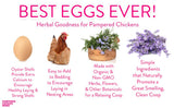 Pampered Chicken Mama Best Eggs Ever! Nesting Herbs for Chickens (10 Ounces) Calcium Supplement for Chickens | Chicken Feed Supplies, Hen Treats for Coops Pampered Chicken Mama