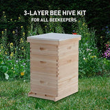 CREWORKS Bee Hive with 10 Medium &20 Deep Honeycomb Foundation Frames, Bee Box for Beekeeper Starter, Beekeeping Supplies Equipment Tool, Wood Complete Honey Bee Hives Kit, 3 Layer Bees House Box CREWORKS