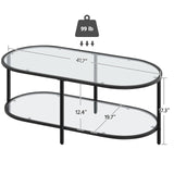 Yaheetech Glass Coffee Table, Black Small Center Table with Storage Shelf for Living Room Small Space, Apartment Yaheetech