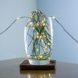 ZELUXDOT Fairy Lights Plug in,660FT 2000 LEDs Waterproof String Lights,Green Copper Wire,LED Lights Stirp with Remote 8Modes for Indoor Outdoor Christmas Wedding Birthday Patio Garden Decor,Warm White ZELUXDOT