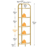 HOOBRO 5-Tier Corner Shelf Stand, Gold Corner Bookshelf, Tempered Glass Shelves, Bathroom Organizer, Corner Plant Stand, for Living Room, Study, Balcony, Home Office, Modern Style, Gold GD15CJ01 HOOBRO
