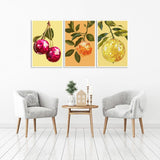 6P Disco Ball Paint by Numbers Kit for Adults, DIY Fruit Adult's Paint by Numbers on Canvas, Easy Acrylic Watercolor Oil Painting by Number Without Frame(8x12 in) Clendo