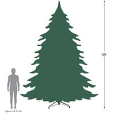 Northlight 16' Pre-Lit Pendleton Spruce Slim Artificial Christmas Tree, Clear Lights Northlight