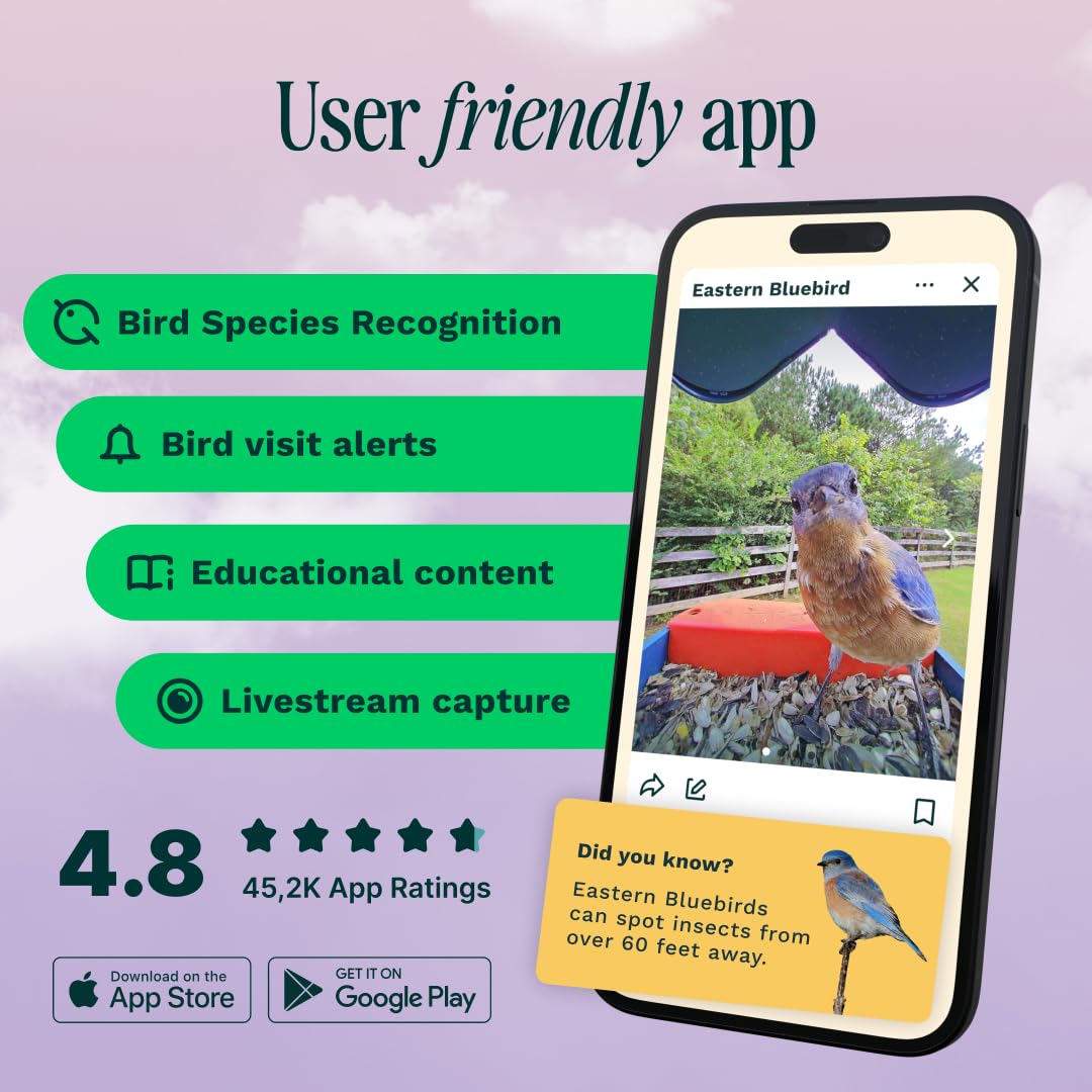 Bird Buddy Pro Solar Smart Bird Feeder with Camera - Ai Bird Species Identification, 5Mp Photos, 2K Ultra Video Live Stream Camera, Slow-Motion Video, 2.6In Focus - Blue Solar Bird Buddy