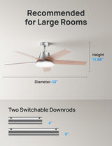 Dreo Ceiling Fans with Lights and Remote, 52 Inch, 6 Speeds, 5 Color Tones Dimmable LED, Quiet Reversible DC Motor, 8H Timer, Silver Ceiling Fan for Bedroom, Living Room, Easy to Install Dreo