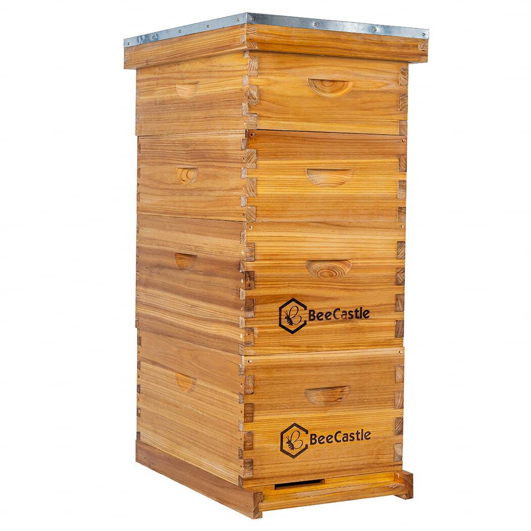 BeeCastle 8 Frame Langstroth Bee Hive Coated with 100% Beeswax Includes Beehive Frames and Waxed Foundations (2 Deep Boxes & 2 Medium Boxes) BeeCastle