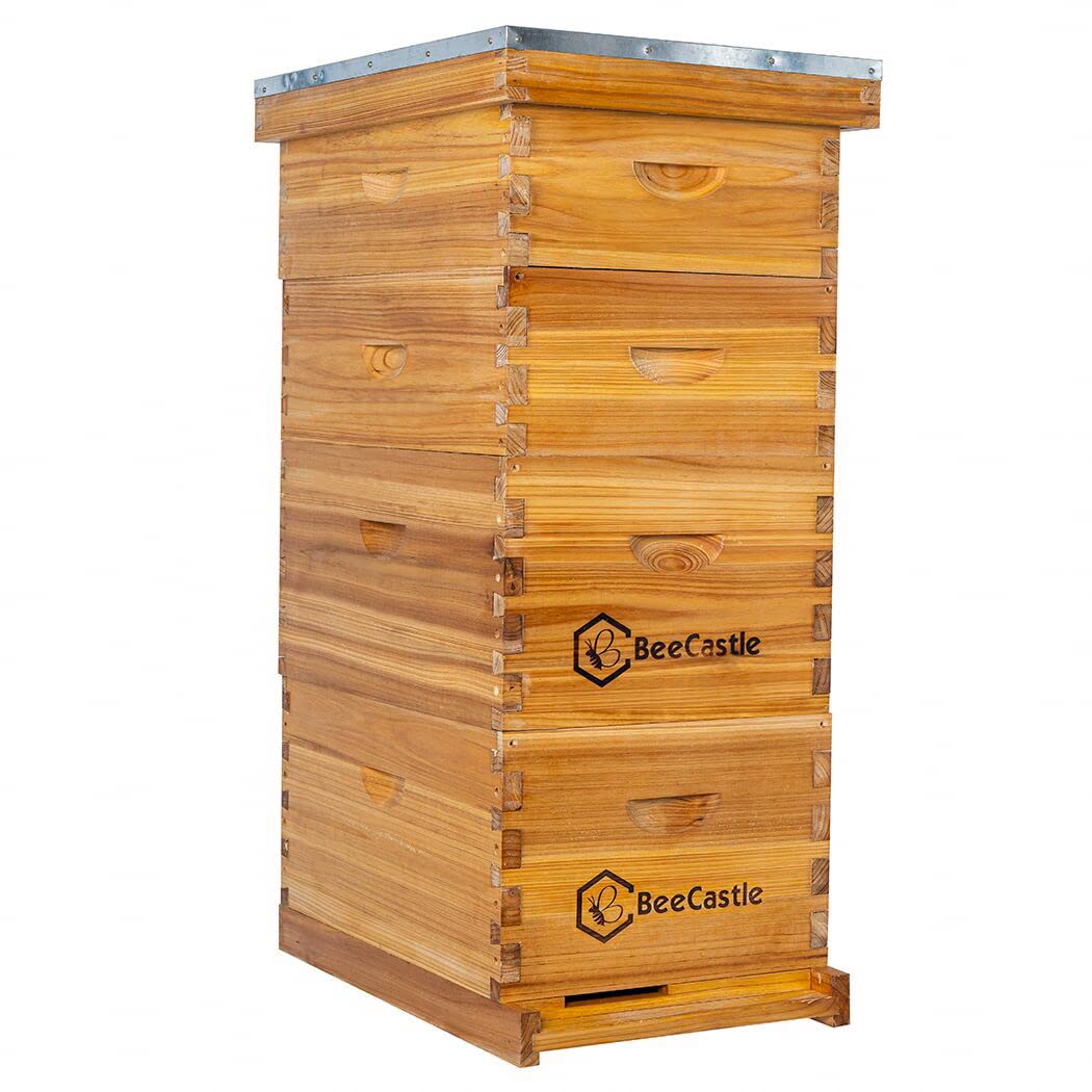 BeeCastle 8 Frame Langstroth Bee Hive Coated with 100% Beeswax Includes Beehive Frames and Waxed Foundations (2 Deep Boxes & 2 Medium Boxes)