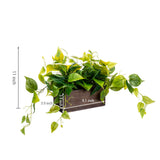 MyGift Vibrant Lifelike Artificial Plant Pothos Leafy Vine Greenery in Burnt Brown Solid Wood Rectangular Planter Box MyGift