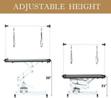 TRODEP 42.5" Hydraulic Dog Grooming Table for Large Dogs Heavy Duty Height Adjustable Dog Grooming Table with Gantry Arm & Noose Height Range 21-36 inch Purple TRODEP