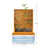 4M Green Science Grow A Maze Kit, Build A Plant Maze Science Kit, For Boys & Girls Ages 5+ , 5 x 4 nches 4M