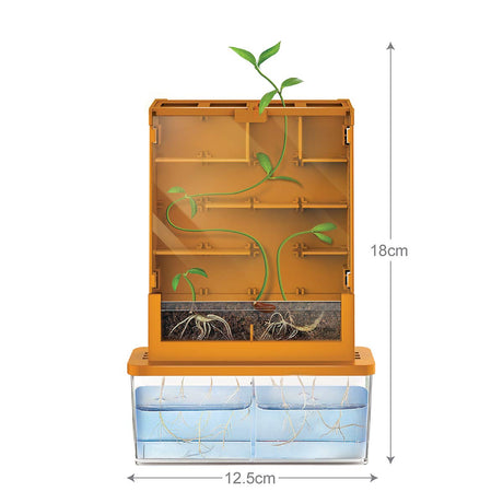 4M Green Science Grow A Maze Kit, Build A Plant Maze Science Kit, For Boys & Girls Ages 5+ , 5 x 4 nches 4M