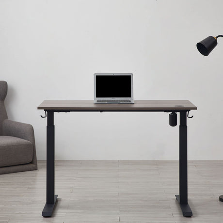 kowo Electric Height Adjustable Standing Desk, 48" Home Office Wooden Computer Desk Ergonomic Memory Control Workstation Sit Stand Desk kowo