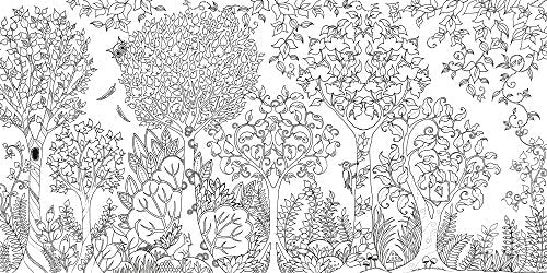 Enchanted Forest: An Inky Quest and Coloring book (Activity Books, Mindfulness and Meditation, Illustrated Floral Prints)