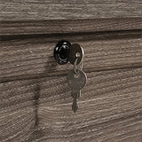 Pemberly Row Contemporary Engineered Wood Lateral File Cabinet in Emery Oak Pemberly Row