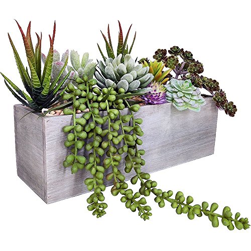 Supla Artificial Potted Succulents Plants Arrangement Fake Succulent Plants in Rectangular Wooden Pot Arrangement for Table Centerpiece Windowsill Greenery Decor Supla