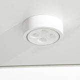 TRJQBCC 49" H 2 Doors Tempered Glass Display Cabinet with LED Light, 3-Shelf Wooden Curio Storage Cabinet with Adujust Floor Feet, Freestanding Lockable Display Storage Case Bookshelf for Home(White) TRJQBCC