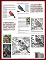 American Birds Coloring Book (Birds of the World: A Colouring Adventure Series) Majosta